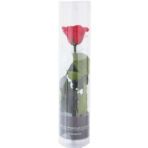 Mini Bell Rose Gift Package Red