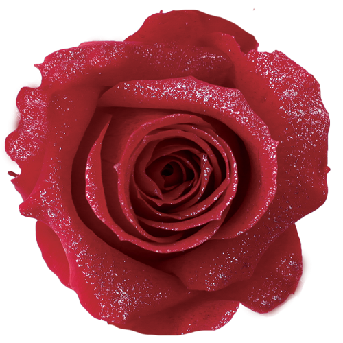 Birth Rose Ruby