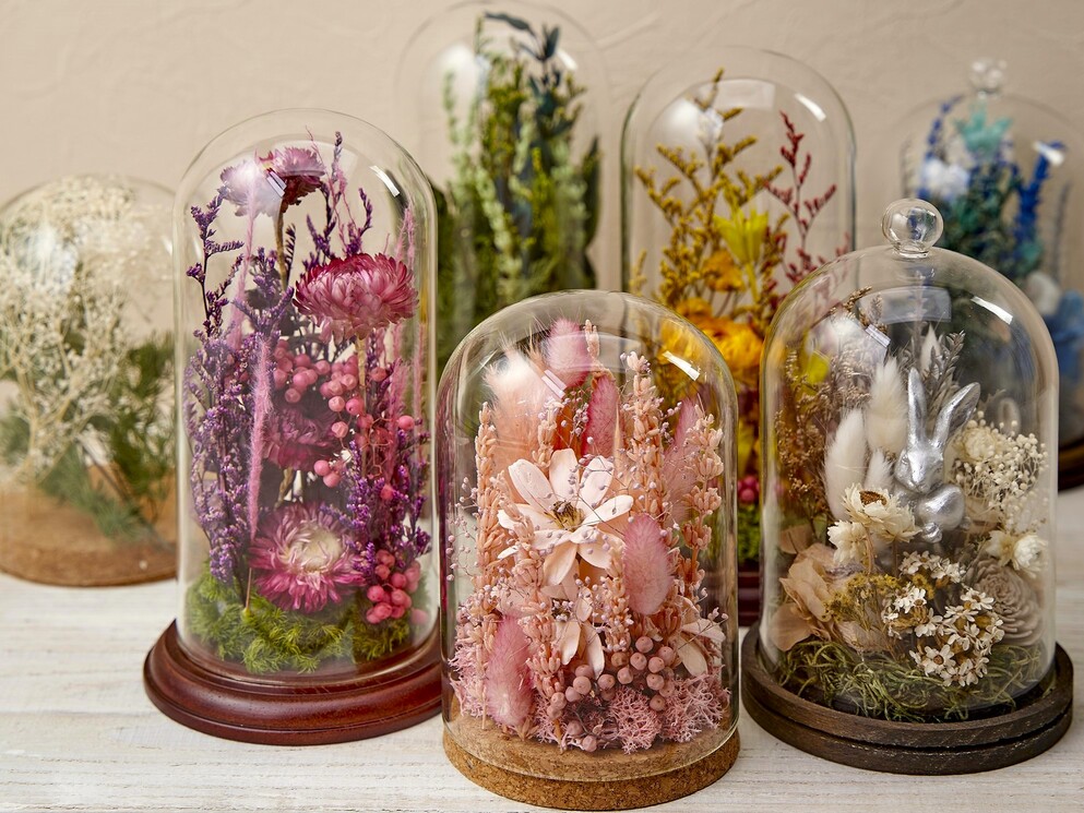 季節を楽しむ”苔プリザーブド”のインテリア